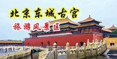 被操了视频网站中国北京-东城古宫旅游风景区